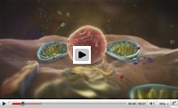 Click here to play ASEA Frontier Metabolites research video